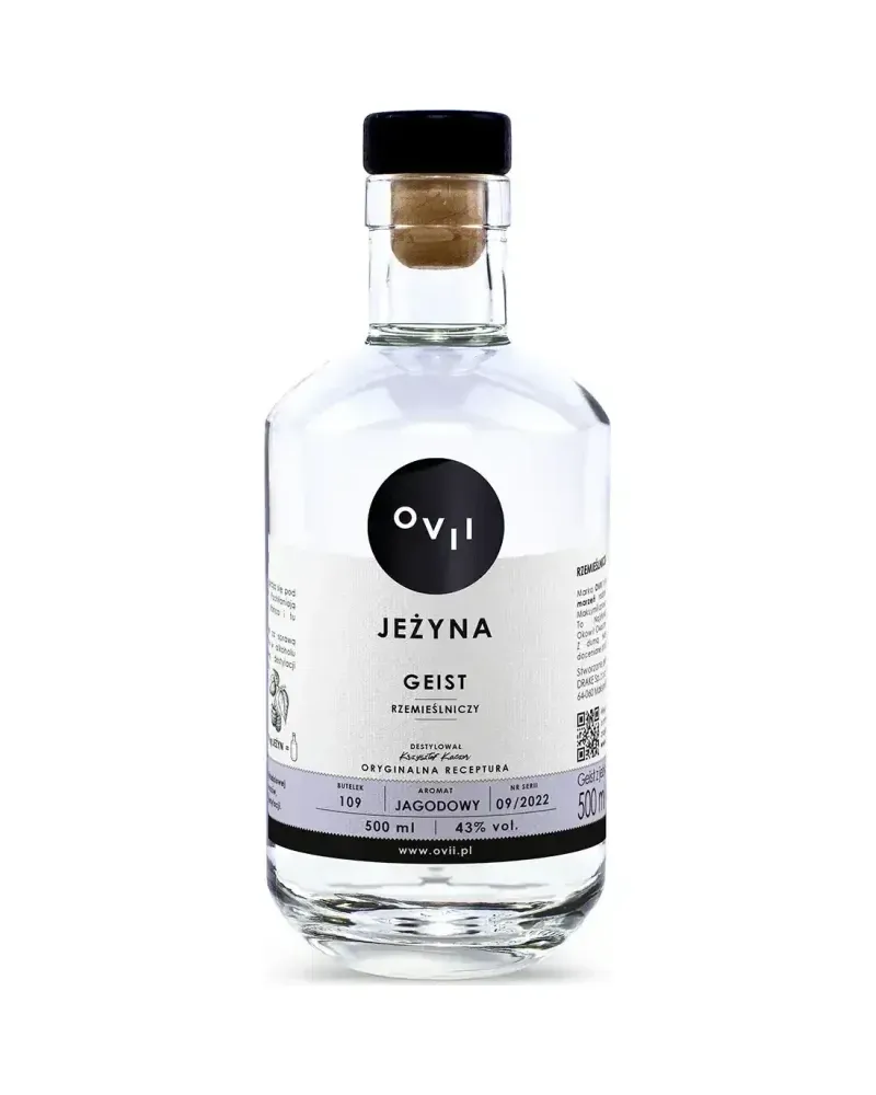 OVII_geist_jezyna_2000